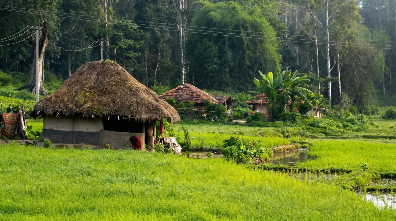Tribal settlement.png
